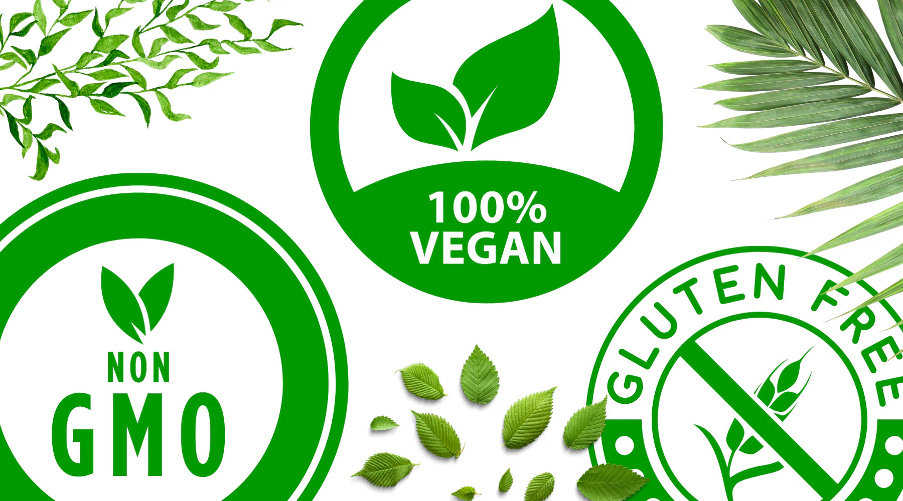 VaxxPax supplement is non-GMO, gluten-free, and 100% vegan